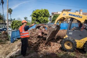 Tree Removal