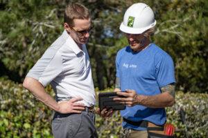 tree care servics