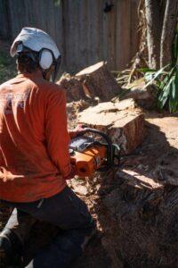 stump grinding san diego