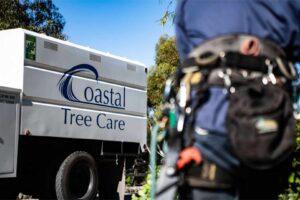 tree company
