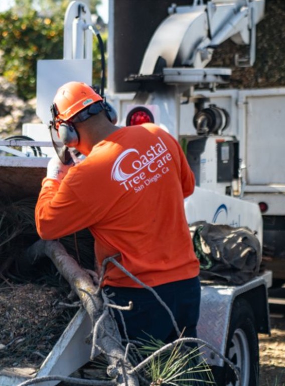 fresh-mulch-delivery-san-diego-coastal-tree-care