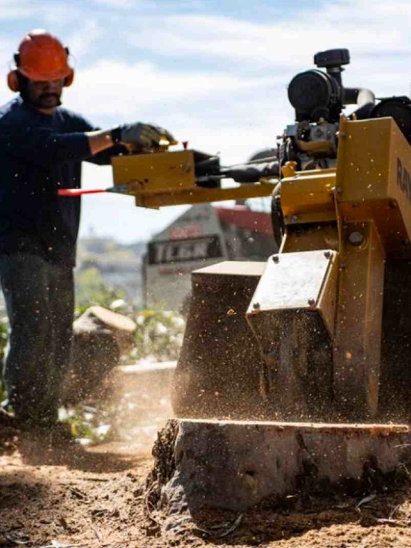 professional-stump-grinding-service-san-diego-arborist