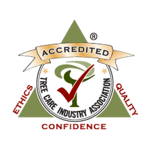 tree-care-industry-association-accredited-san-diego-arborist