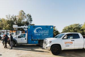 tree-care-project-gallery-arborist-san-diego-vista-encinitas-rancho-santa-fe