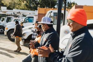 tree-care-project-gallery-arborist-san-diego-vista-encinitas-rancho-santa-fe