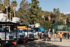 tree-care-project-gallery-arborist-san-diego-vista-encinitas-rancho-santa-fe