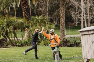 tree-care-project-gallery-arborist-san-diego-vista-encinitas-rancho-santa-fe