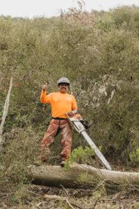 tree-care-project-gallery-arborist-san-diego-vista-encinitas-rancho-santa-fe