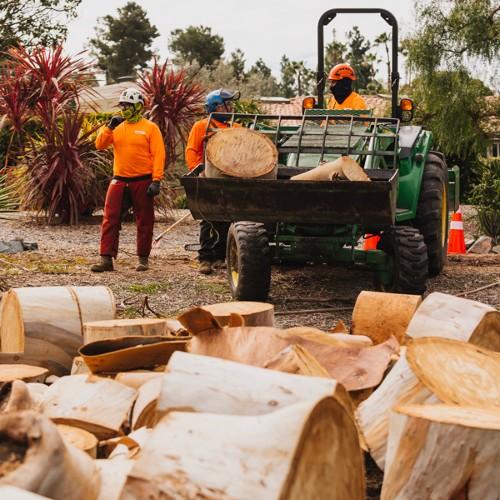 Tree Care Machinery